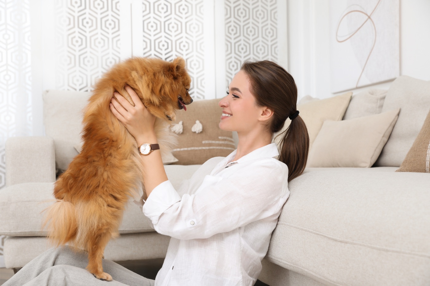 Pets GiveHowMuch
